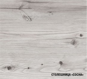 АСАЯ Кухонный гарнитур Экстра 2 (3000 мм) ПМ в Тюмени - tumen.ok-mebel.com | фото 8