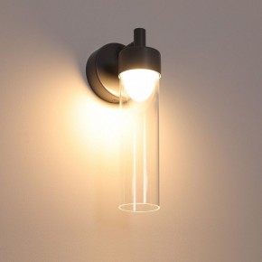 Бра Favourite Outdoor 4703-1W в Тюмени - tumen.ok-mebel.com | фото 4