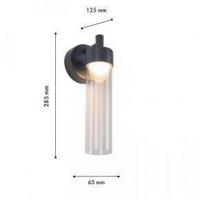 Бра Favourite Outdoor 4703-1W в Тюмени - tumen.ok-mebel.com | фото 6