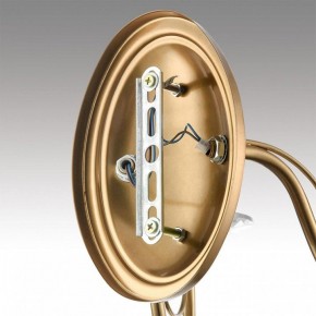 Бра Lumion INCANTO 8033/2W в Тюмени - tumen.ok-mebel.com | фото 8