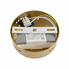 Бра Lumion TRENDY 8259/15WCL в Тюмени - tumen.ok-mebel.com | фото 7