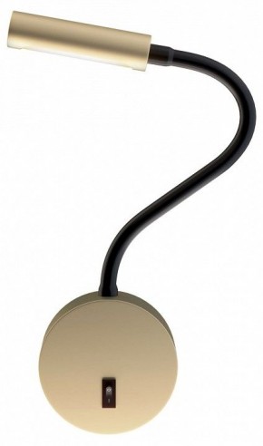 Бра Maytoni Stem C035WL-L3MG3K в Тюмени - tumen.ok-mebel.com | фото