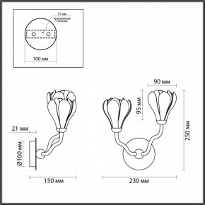 Бра Odeon Light Gardi 5090/2W в Тюмени - tumen.ok-mebel.com | фото 4