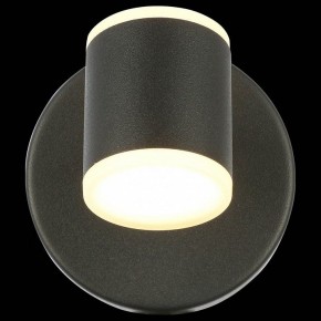 Бра ST-Luce Formolla SL1597.401.01 в Тюмени - tumen.ok-mebel.com | фото 5