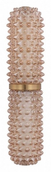 Бра ST-Luce SAGUARO SL6144.301.01 в Тюмени - tumen.ok-mebel.com | фото 4