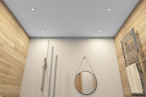 DK2036-WH Встраиваемый светильник влагозащ., IP 44, до 15 Вт, GU10, LED, белый, алюминий в Тюмени - tumen.ok-mebel.com | фото 5