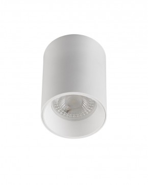 DK3110-WH Светильник накладной IP 20, 10 Вт, GU5.3, LED, белый, пластик в Тюмени - tumen.ok-mebel.com | фото