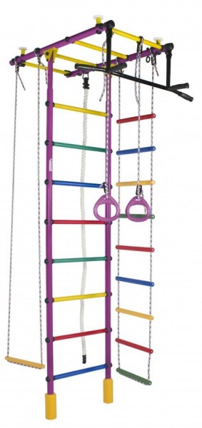 ДСК Атлант цв.фиолетовый радуга: турник, кольца, канат, трапеция, веревочная лестница в Тюмени - tumen.ok-mebel.com | фото 1
