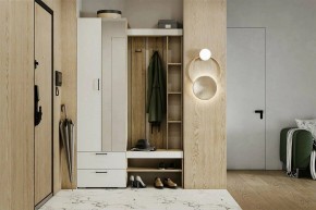 Гарнитур для прихожей Торонто в Тюмени - tumen.ok-mebel.com | фото 5
