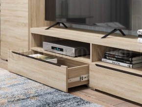 ЭКОЛЬ Гостиная Вариант №3 МДФ (Дуб сонома) в Тюмени - tumen.ok-mebel.com | фото 2