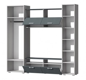 Гостиная Эмми (Анкор светлый/Графит) в Тюмени - tumen.ok-mebel.com | фото 3