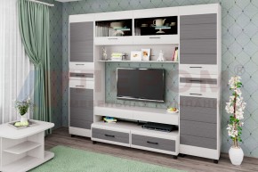 Гостиная Камелия Композиция 10 (Снежный ясень - серый) в Тюмени - tumen.ok-mebel.com | фото