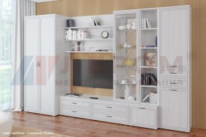 Гостиная Карина Композиция 11 (Снежный ясень) в Тюмени - tumen.ok-mebel.com | фото
