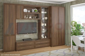 Гостиная Карина Композиция 16 (Акация Молдау) в Тюмени - tumen.ok-mebel.com | фото