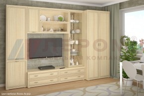 Гостиная Карина Композиция 16 (Ясень Асахи) в Тюмени - tumen.ok-mebel.com | фото