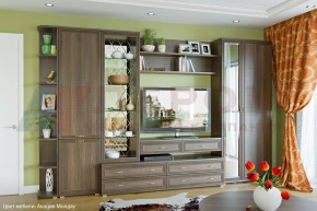 Гостиная Карина Композиция 20 (Акация Молдау) в Тюмени - tumen.ok-mebel.com | фото