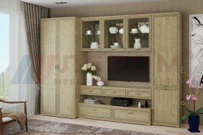 Гостиная Карина Композиция 23 (Гикори Джексон светлый) в Тюмени - tumen.ok-mebel.com | фото