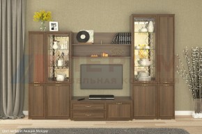 Гостиная Карина Композиция 24 (Акация Молдау) в Тюмени - tumen.ok-mebel.com | фото