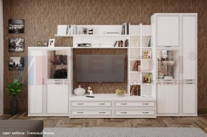 Гостиная Карина Композиция 5 (Снежный ясень) в Тюмени - tumen.ok-mebel.com | фото