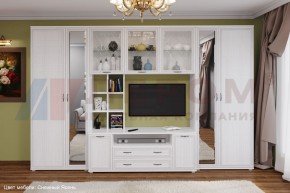 Гостиная Карина Композиция 6 (Снежный ясень) в Тюмени - tumen.ok-mebel.com | фото