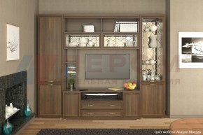 Гостиная Карина Композиция 9 (Акация Молдау) в Тюмени - tumen.ok-mebel.com | фото