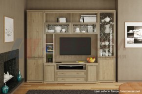 Гостиная Карина Композиция 9 (Гикори Джексон светлый) в Тюмени - tumen.ok-mebel.com | фото