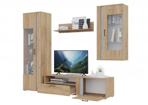 Гостиная Омега (Крафт золотой-Бетон) в Тюмени - tumen.ok-mebel.com | фото 4