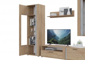 Гостиная Омега (Крафт золотой-Бетон) в Тюмени - tumen.ok-mebel.com | фото 5