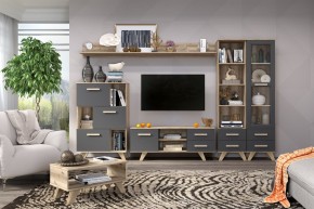 Гостиная Вега Скандинавия (комплект 6) в Тюмени - tumen.ok-mebel.com | фото 2