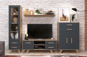 Гостиная Вега Скандинавия (комплект 7) в Тюмени - tumen.ok-mebel.com | фото 2