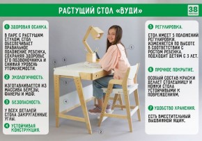 Комплект растущий стол и стул с чехлом 38 попугаев «Вуди» (Белый, Без покрытия, Салют) в Тюмени - tumen.ok-mebel.com | фото 2