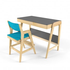 Комплект растущий стол и стул с чехлом 38 попугаев «Вуди» (Серый, Без покрытия, Лазурь) в Тюмени - tumen.ok-mebel.com | фото