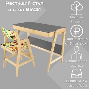 Комплект растущий стол и стул с чехлом 38 попугаев «Вуди» (Серый, Без покрытия, Монстры) в Тюмени - tumen.ok-mebel.com | фото 1