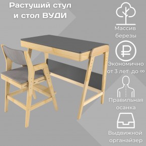 Комплект растущий стол и стул с чехлом 38 попугаев «Вуди» (Серый, Без покрытия, Серый) в Тюмени - tumen.ok-mebel.com | фото 1