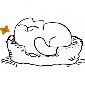 Кровать двухуровневая Кот № 900.1 ЛЕВАЯ (туя светлая/белый) в Тюмени - tumen.ok-mebel.com | фото 2