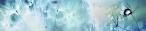 Кухонный фартук с эффектом мерцания Одуванчики синие (3000) Композит глянец в Тюмени - tumen.ok-mebel.com | фото