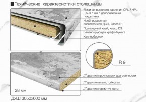 Кухонный фартук со столешницей (А-03) в едином стиле (3050 мм) в Тюмени - tumen.ok-mebel.com | фото 6