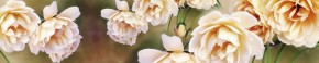 Кухонный фартук Цветы 066 МДФ матовый (3000) Flowers в Тюмени - tumen.ok-mebel.com | фото