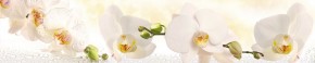 Кухонный фартук Цветы 328 МДФ матовый (3000) Flowers в Тюмени - tumen.ok-mebel.com | фото 1
