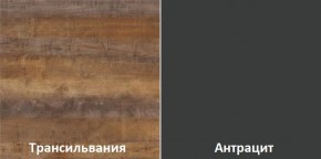 Кухонный гарнитур угловой Трансильвания 2600х1600 мм (Стол. 38 мм) в Тюмени - tumen.ok-mebel.com | фото 3