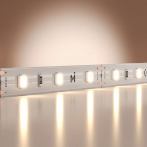 Лента светодиодная Maytoni Base 201163 в Тюмени - tumen.ok-mebel.com | фото 2