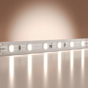 Лента светодиодная Maytoni Base 201167 в Тюмени - tumen.ok-mebel.com | фото