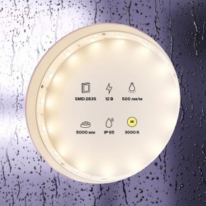 Лента светодиодная Maytoni Led strip 10105 в Тюмени - tumen.ok-mebel.com | фото 2