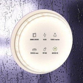 Лента светодиодная Maytoni Led strip 10118 в Тюмени - tumen.ok-mebel.com | фото 2