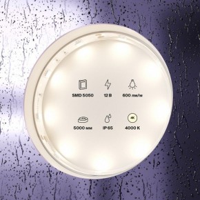 Лента светодиодная Maytoni Led strip 10124 в Тюмени - tumen.ok-mebel.com | фото 3