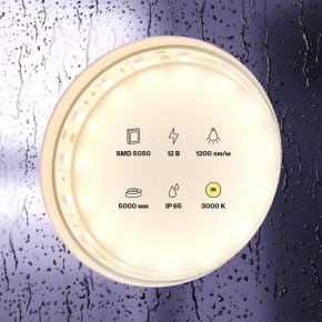 Лента светодиодная Maytoni Led strip 10131 в Тюмени - tumen.ok-mebel.com | фото 3