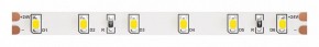 Лента светодиодная Maytoni Led strip 10141 в Тюмени - tumen.ok-mebel.com | фото