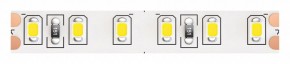Лента светодиодная Maytoni Led strip 10147 в Тюмени - tumen.ok-mebel.com | фото