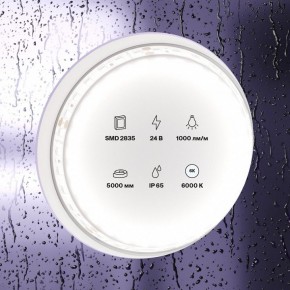 Лента светодиодная Maytoni Led strip 10147 в Тюмени - tumen.ok-mebel.com | фото 2