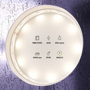 Лента светодиодная Maytoni Led strip 10164 в Тюмени - tumen.ok-mebel.com | фото 2